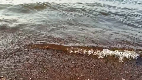 Surf waves on a sandy beach Video stock 163067780