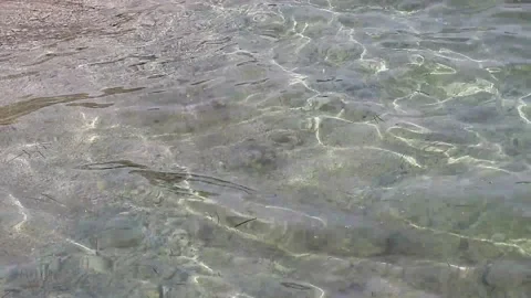 Surface of the Adriatic Sea with small waves Stock Footage 138360604