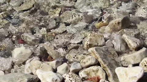 Surface of the Adriatic Sea with small waves Stock Footage 139647899