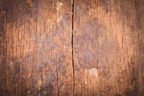 Surface and background of old sheet wood Stock Photos