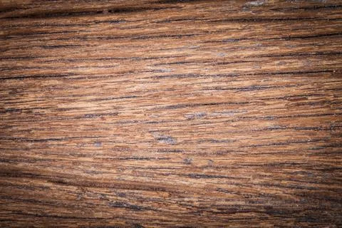 Surface and background of old sheet wood Stock Photos