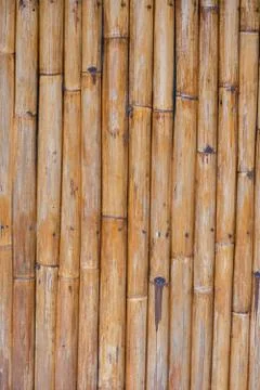 The surface and texture of the bamboo stem Stock Photos