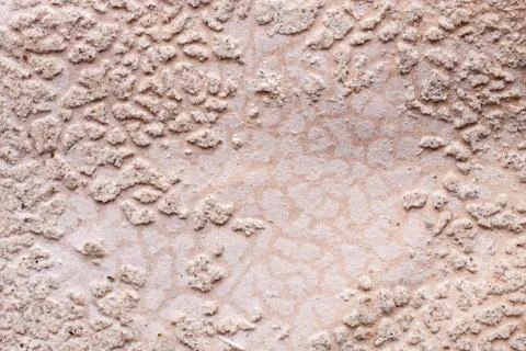 Surface and the ugly Stock Photos