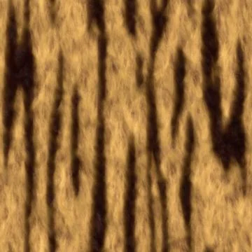 A surface for animal like tiger Stock Photos