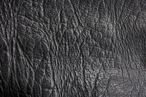 The surface of a black leather thing, close-up skin texture, abstract, selective Photos