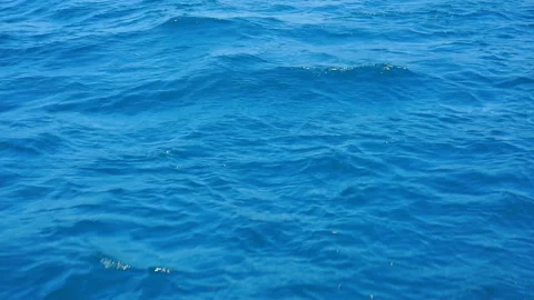 The surface of the blue sea, ocean waves on a sunny day with sunlight on the sur Stock Footage 117797299