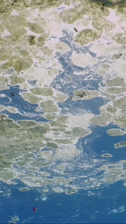 Surface of blue water in Ocean covered with thick layer of fat and plastic Stock Footage 246357003