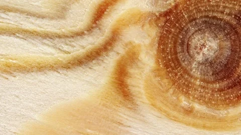 Surface of board with trace of wooden round knot, rotating Stock Footage 255034963