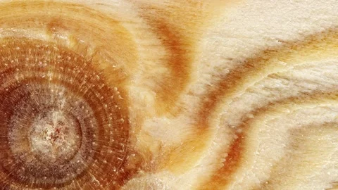 Surface of board with trace of wooden round knot, uniform, moving sideways,.. 库存影片 256331289