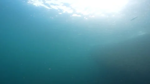 Surface, boat and a fish seen from underwater Stock Footage 282524548