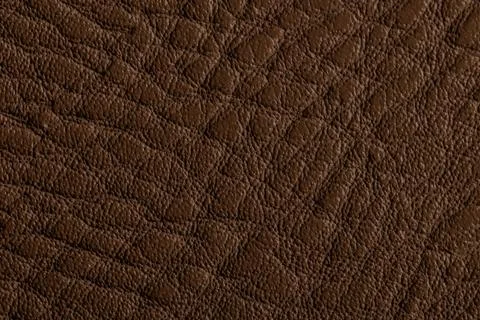 Surface of brown leather with distinct texture seen close up during dayligh.. Stock Photos
