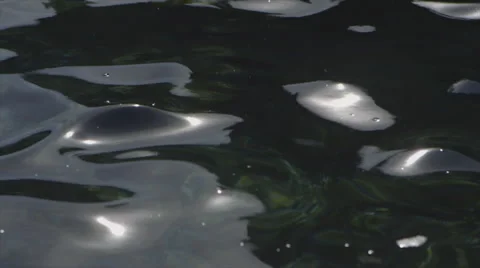 Surface of calm sea in sunlight Stock Footage 42142791