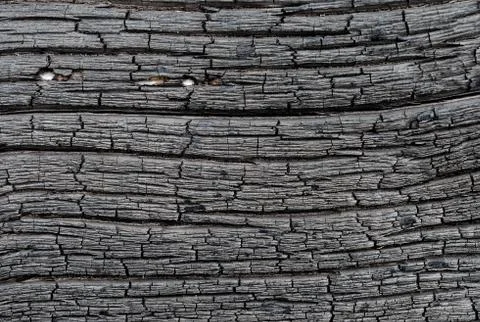 Surface of charred wood Stock Photos