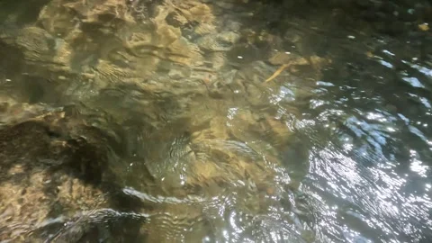 The surface of a clear and calm flowing mountain river Video stock 321266559