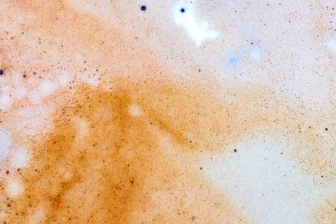 The surface of coffee foam. Stock Photos
