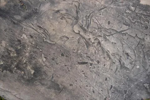 Surface of concrete wall or gray floor, industrial background Stock Photos