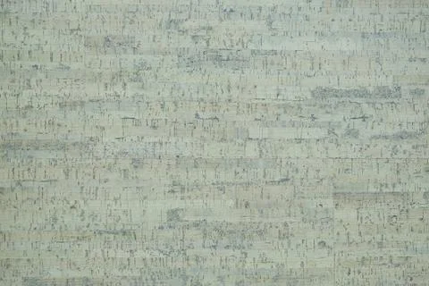 Surface from the cork tree Stock-Fotos