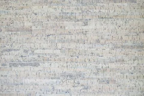 Surface from the cork tree Stock-Fotos