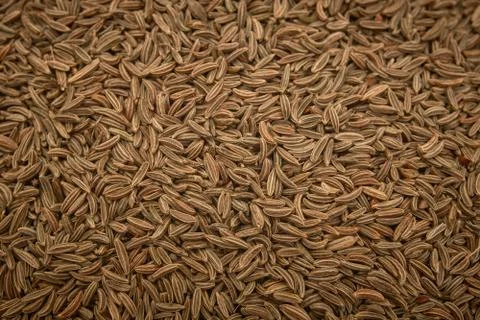Surface covered with cumin seeds as a backdrop texture composition Stock Photos