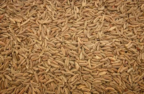 Surface covered with cumin seeds as a backdrop texture composition Stock Photos