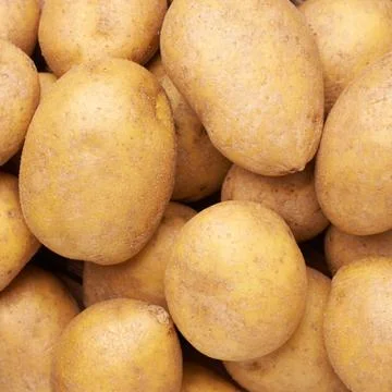 Surface covered with potatoes Stock Photos