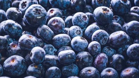 Surface is covered with a thick layer of blueberries. Natural background. Vac Stock Photos