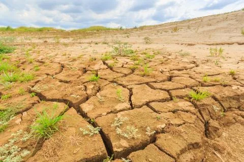 Surface crack of  soil in arid area Stock Photos