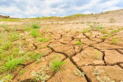 Surface crack of  soil in arid area Stock Photos