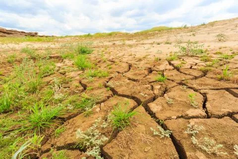 Surface crack of  soil in arid area Stock Photos