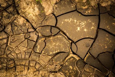 Surface of cracked earth Stock Photos