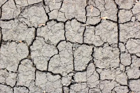 Surface of cracked earth for texture background, dried clay 스톡 사진