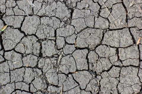 Surface of cracked earth for texture background, dried clay Stock Photos