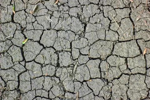 Surface of cracked earth for texture background, dried clay 스톡 사진