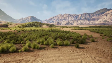 Surface of desert with undulating patterns and sparse greenery in warm colors Video stock 331400493