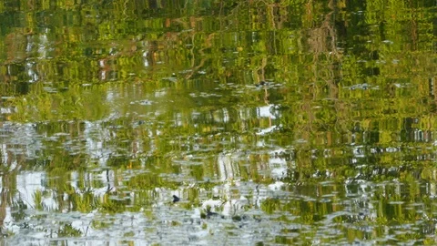 Surface Of Dirty Water Stock Footage 96042998