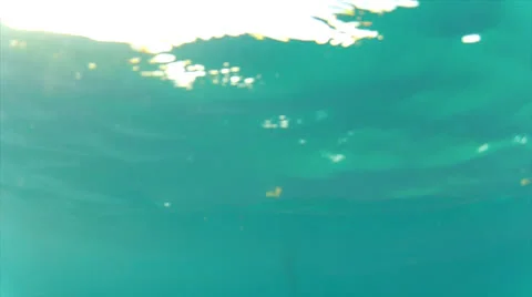 Surface-dive to gull perched on buoy Video stock 24386381