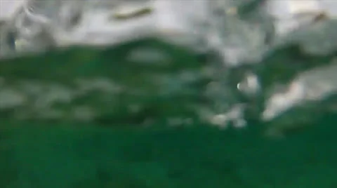 Surface dive rock crawl 60% Video stock 24633335