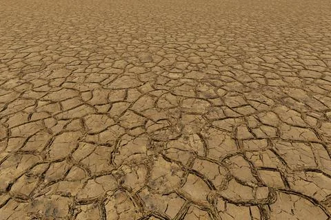 The surface of the dried earth Stock Illustration
