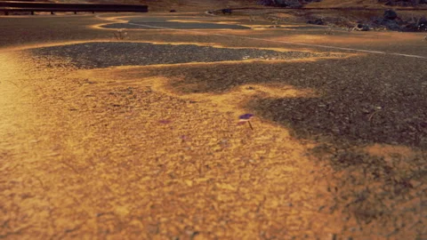 Surface of dry land showing cracks and texture in the late afternoon light Stock Footage 342047053