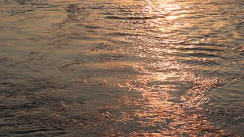 Surface of Elbe river in Dresden reflecting light at sunset Video stock 284994296