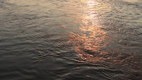 Surface of Elbe river in Dresden reflecting light at sunset Video stock 284994311