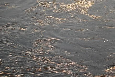 Surface of Elbe river in Dresden reflecting light at sunset Stock Photos