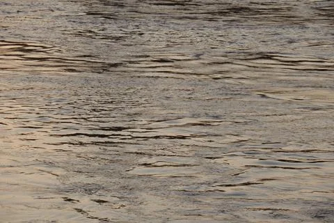 Surface of Elbe river in Dresden reflecting light at sunset Stock Photos