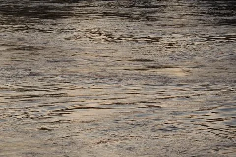 Surface of Elbe river in Dresden reflecting light at sunset Stock Photos