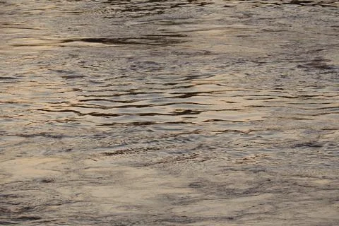 Surface of Elbe river in Dresden reflecting light at sunset Stock Photos