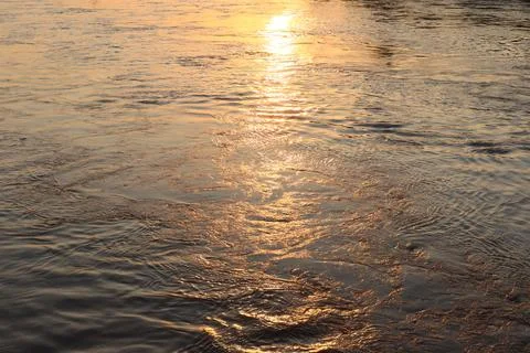 Surface of Elbe river in Dresden reflecting light at sunset Stock Photos