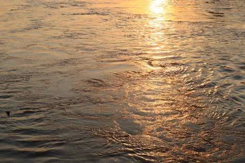 Surface of Elbe river in Dresden reflecting light at sunset Stock Photos