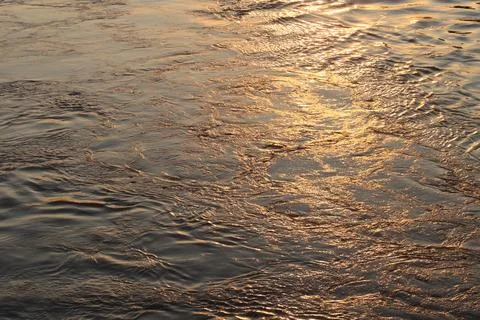 Surface of Elbe river in Dresden reflecting light at sunset Stock Photos