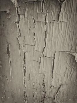 Surface eroded by time,Old wood background. Stock Photos
