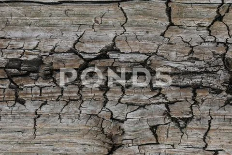 Surface eroded by time,Old wood background. texture Stock Photos